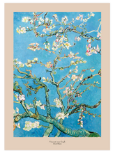 Van Gogh Almond Blossoms - Art Print
